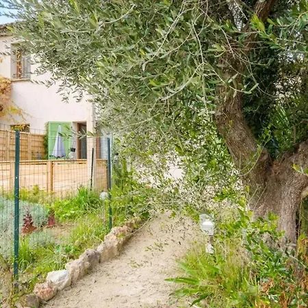 Appartement Moderne A Loubet 45 M² Terrasse Amenagee